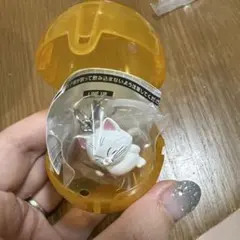 ドラゴンボールめじるしアクセサリー4 カリン様