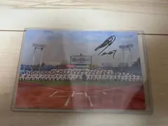 東京ヤクルトスワローズ　高橋奎二選手　直筆サイン