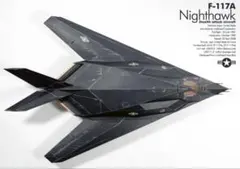 F-117A Nighthawk 塗装済み完成品 模型