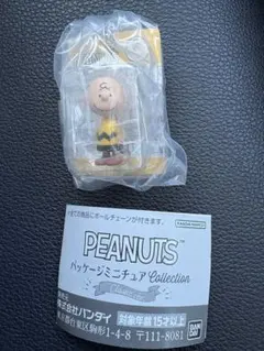 PEANUTS パッケージミニチュアコレクションスヌーピー チャーリーブラウン