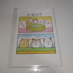 おそ松さん　松犬　まついぬ　イラストカード　どなた？　おそ松　十四松　トド松