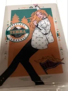 カリスマ公式 テラ まとめ売り - メルカリ