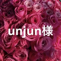 unjun様 リクエスト 2点 まとめ商品