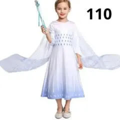 【2点セット】110 アナと雪の女王 長袖ドレス プリンセス クリスマス エルサ