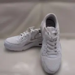 Nike Air Max ホワイト/シルバー スニーカー★替え紐付き24.5cm