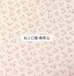 ねこ〇様 専用ページ