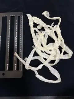 Item thumbnail for item 4dc6905b-8a05-4149-bea2-efbef0701975