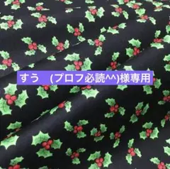 すう　(プロフ必読^^)様 リクエスト 4点 まとめ商品