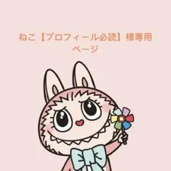 ねこ【プロフィール必読】様 リクエスト 5点 まとめ商品