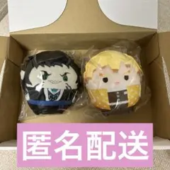 【圧縮無し】 鬼滅の刃 ふわコロりん 10 獪岳 我妻善逸