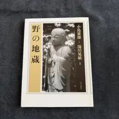 小島寅雄 仏画 「一心無心」 額装品/書画/日本画/中古品 2026年最新】小島寅雄の人気アイテム - メルカリ