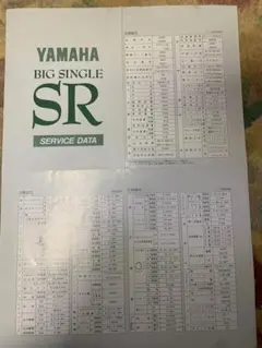 YAMAHA Big Single SR サービスデータ