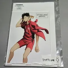 黒尾 コスパ アクスタ