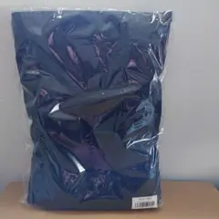 Item thumbnail for item 1bde9700-6c71-4edb-b2e2-476c30a26aae