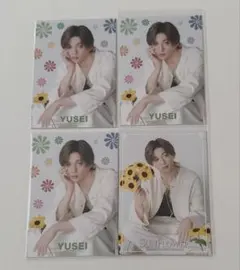 FANTASTICS 八木勇征 SUNFLOWER フォトカのサムネイル