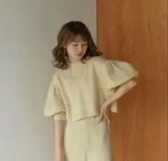 Eaphi】 新品未使用 SWITCHING FABRIC KNIT TOP - メルカリ