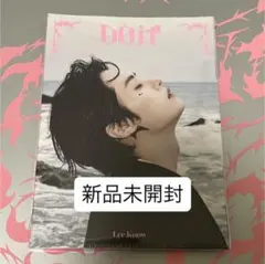 StrayKids スキズ DOIT アコーディオン リノ 新品未開封