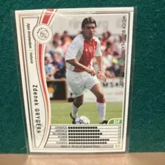 Zdenek Grygera WCCF トレーディングカード