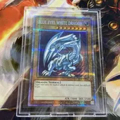 青眼の白龍 英語表記 プリズマ 1枚 遊戯王 英語版 青眼の白龍 プリシク MP22 北米版 – トレカ屋 ANOTHER