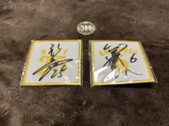 2026年最新】新井貴浩 サインの人気アイテム - メルカリ