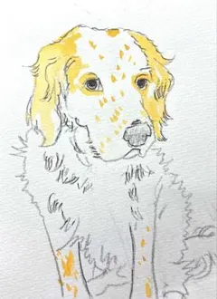 イングリッシュセター×ダルメシアンのわんこイラスト