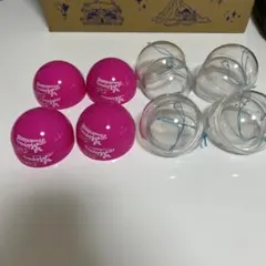 ディズニー パルパルーザ ミニーのファンダーランド カプセルのみ　カプセルトイ