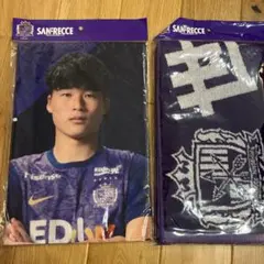 サンフレッチェ広島 タオルマフラー 2枚セット