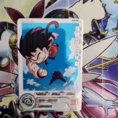 Nissyプロフ必読お願いします。様 リクエスト 2点 まとめ商品