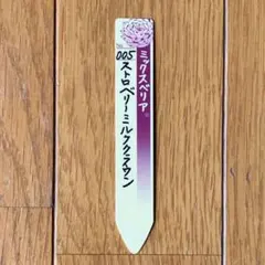 2025年最新】ストロベリーミルククラウン 多肉の人気アイテム - メルカリ