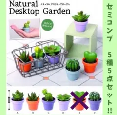【ガチャ】セミコンプ！ナチュラルデスクトップガーデン 5種5点セット