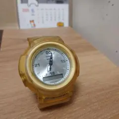 セイウチ　CASIO　G-SHOCK　AW-500NS ポーラーサイエンス