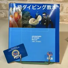 Item thumbnail for item 32cc1516-3cca-411d-884f-ad6fd0725c93