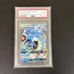 2026年最新】ギャラドスgx psa10の人気アイテム - メルカリ