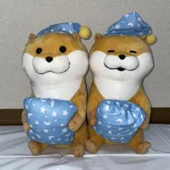 可愛い嘘のカワウソ ぬいぐるみセット Amazon.co.jp: 可愛い嘘のカワウソ プライズ ぬいぐるみ セット : おもちゃ