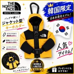 韓国限定 THE NORTH FACE ダウンジャケット型 キーホルダーチャーム