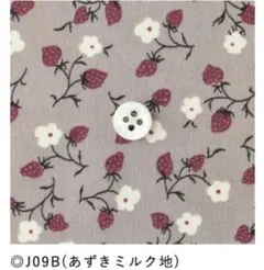 チェックアンドストライプ　リバティ　イザベル　5m　c&s