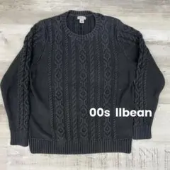 90s 00sL.L.Bean エルエルビーン ニット L セーター