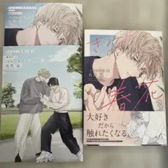 きみの春花 3 アニメイトセット