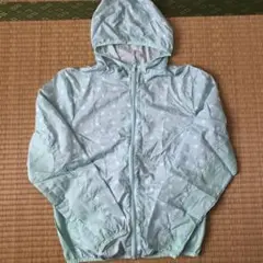 Item thumbnail for item c90b2367-37ec-4bfe-a48d-d98235d65304