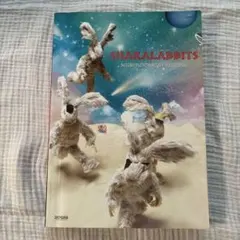 SHAKALABBIT - MUSHROOMNIGHT RECORD