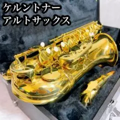 2025年最新】サックス本体の人気アイテム - メルカリ