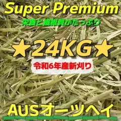 Item thumbnail for item 5c9e6feb-1673-44c8-80f6-1545bec10bea