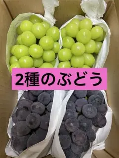 かっじょ様専用 クール便 岡山ピオーネ きれいな家庭用2キロ×2箱