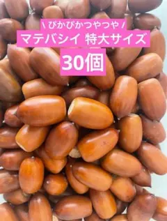 お菓子 工作素材