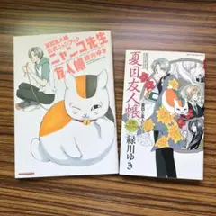 夏目友人帳 全巻セット 公式ファンブック付き 映画で人気再熱 全巻 【夏目友人帳】1～26巻+公式ファンブック