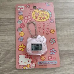 キティ めっちゃエステ オフィシャルガイドブック 本 サンリオ レア