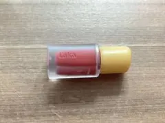 匿名発送 Laka フルーティーグラムティント ミニ 116