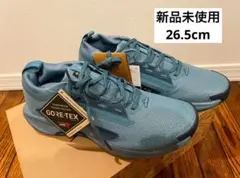 Item thumbnail for item 2b7d3401-d13b-4723-9897-777cedf96171