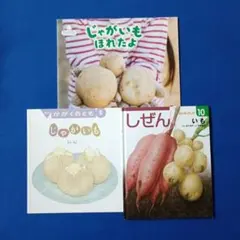 ビッグサイエンス キンダーブックしぜん かがくのとも うどんづくり