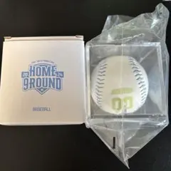 TWICE ジョンヨン HOME9ROUND popup ベースボール 本体